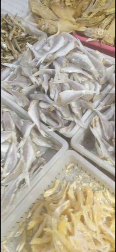 铺砖
