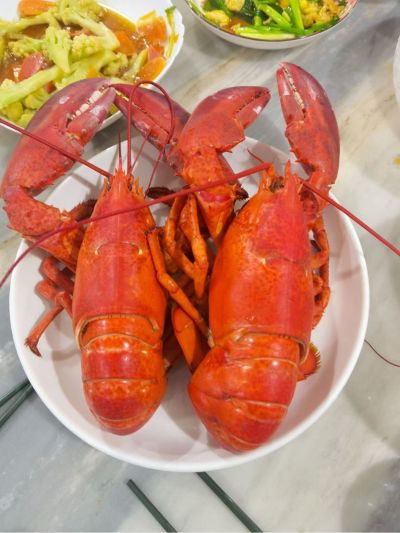 机械维修
