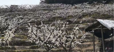 卫生间隔断