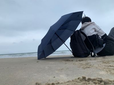 室内装饰集成和木吊顶