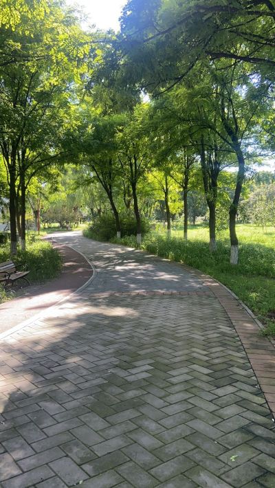 无安装维修专业各种门窗安装