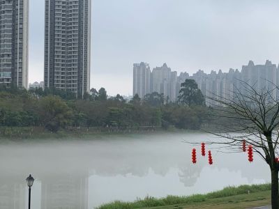 腻子油漆