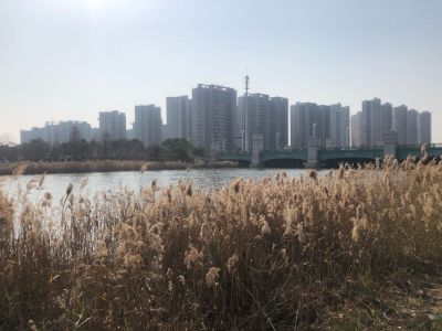 地下室安装电表