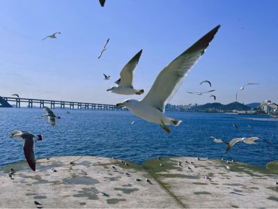 指纹锁安装卫浴安装室内外门安装全屋定制家具