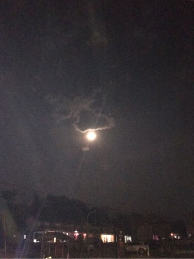 大工