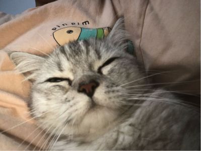 灯具门锁家电