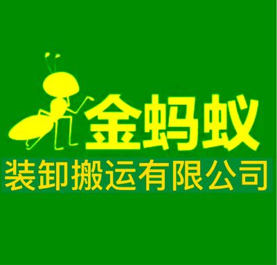 金蚂蚁装卸