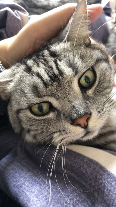 工程师