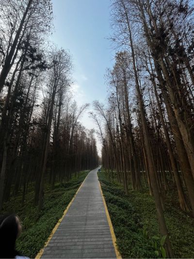 网络安放