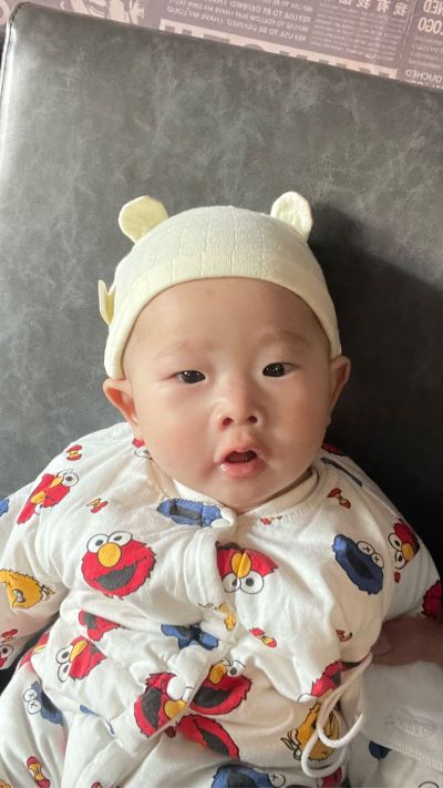 贴膜
