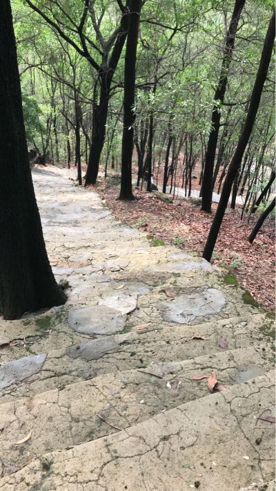 室内外装修