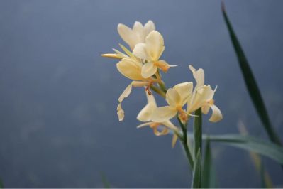 修补面积480mm*900mm
