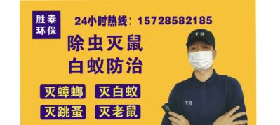 有害生物防治、除虫灭鼠、灭白蚁
