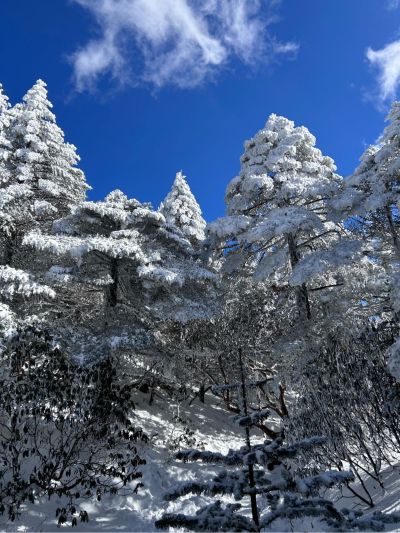 木工吊顶木工吊顶隔断