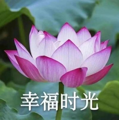 服务