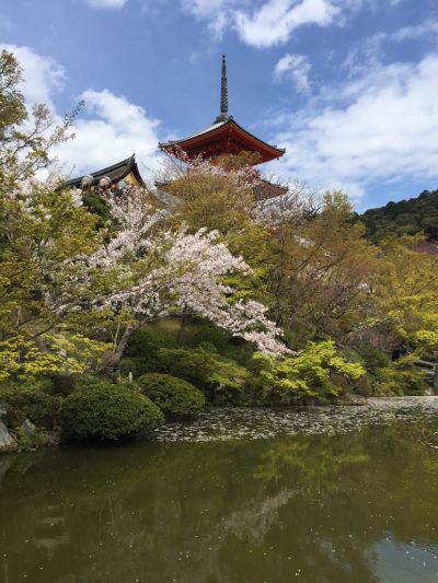 水电