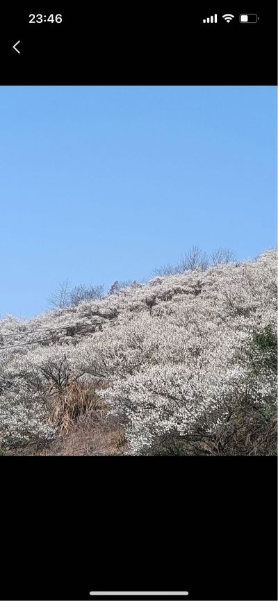 双层玻璃 图片里的窗户 一共24头这样的