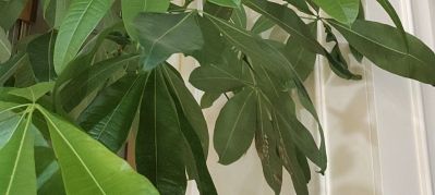 家具美容修复，瓷砖，岩板，木做柜子，大理石，喷漆改色，不锈钢铝板，铜门，
有自己的专业团队
手机号13552048810