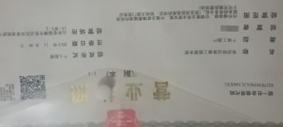 承接外墙清洗，玻璃幕墙清洗，雨水管安装，外墙防水，家庭保洁擦玻璃，打孔，防腐喷漆，151553329319