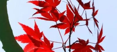 水电水电维修水电整改水电安装维修