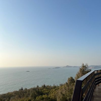 油漆腻子