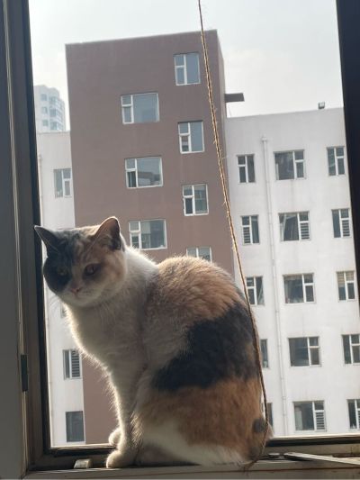 护工