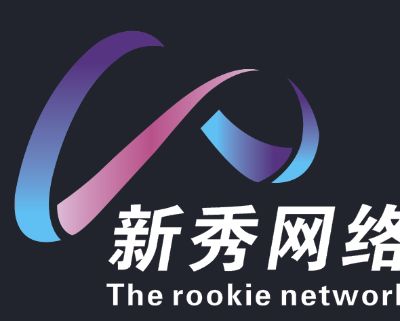 新秀网络有限电脑维修安防监控弱电工程