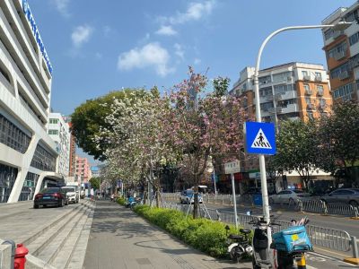 货架弱电安装