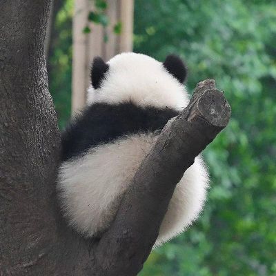 无