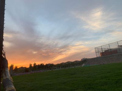 油工无