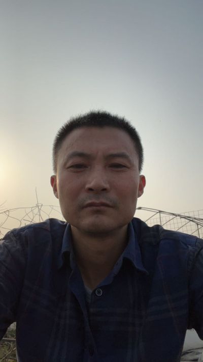 墙纸墙布窗帘
