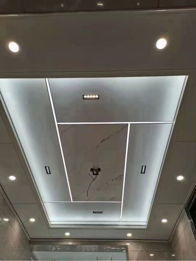 专业技术人才