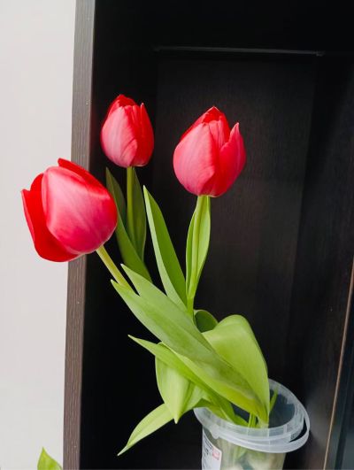 家装装修维修装修