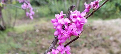 专业保洁接送孩子家务保洁钟点工新房开荒