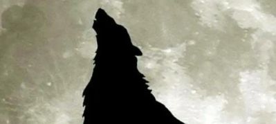 专业拆除砸墙 店面拆除 厂房拆除 打地面 拆顶 旧房改造等等