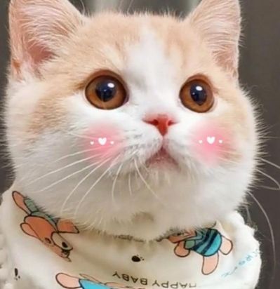 注销个体户营业执照500，注销公司类营业执照800，速度快，效率高有意者电联13699826675朱先生