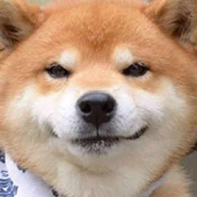 物业