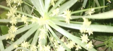 扇灰油漆房屋IC I喷油漆旧房翻新