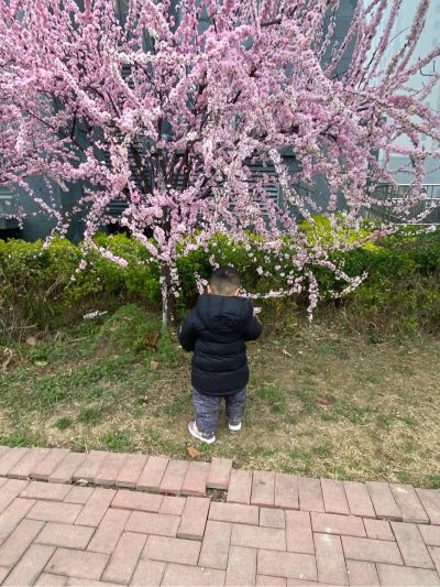广告设计