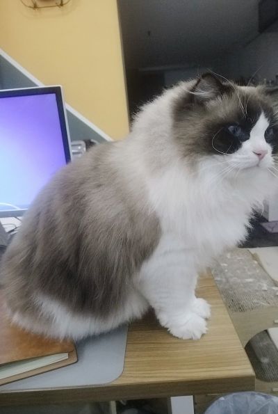 安装安装监控安装液晶屏LED的安装