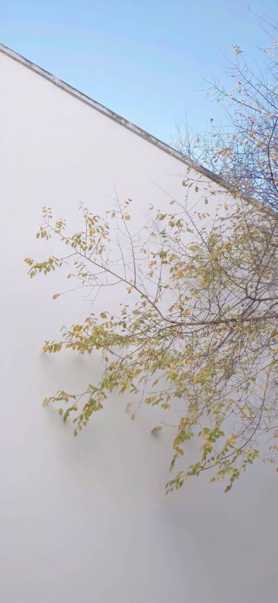 拆桌子 搬家 安桌子
