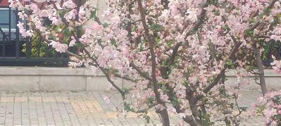 无驾驶员，陪驾搬运小型搬家同城快递，