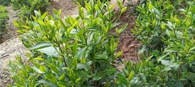 家具安装维修家具安装水电安装家居挂件安装