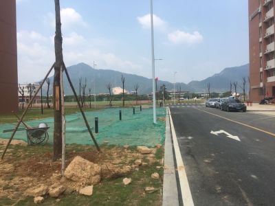 监控与网络