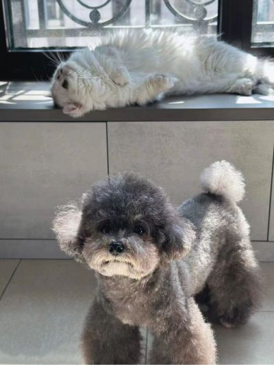 无