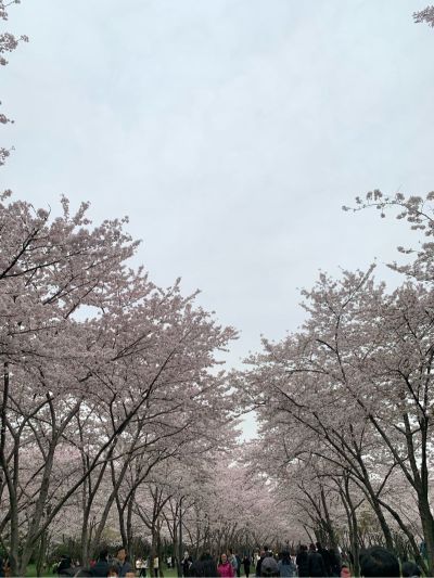 维修