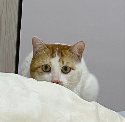 家具修复维修瓷砖划痕修复