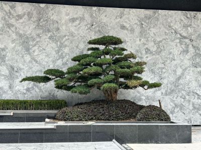木工