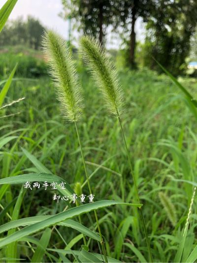 家用电器维修