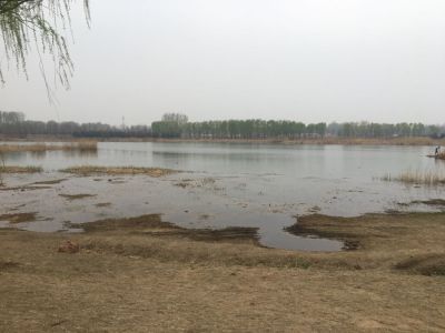 安装拆卸